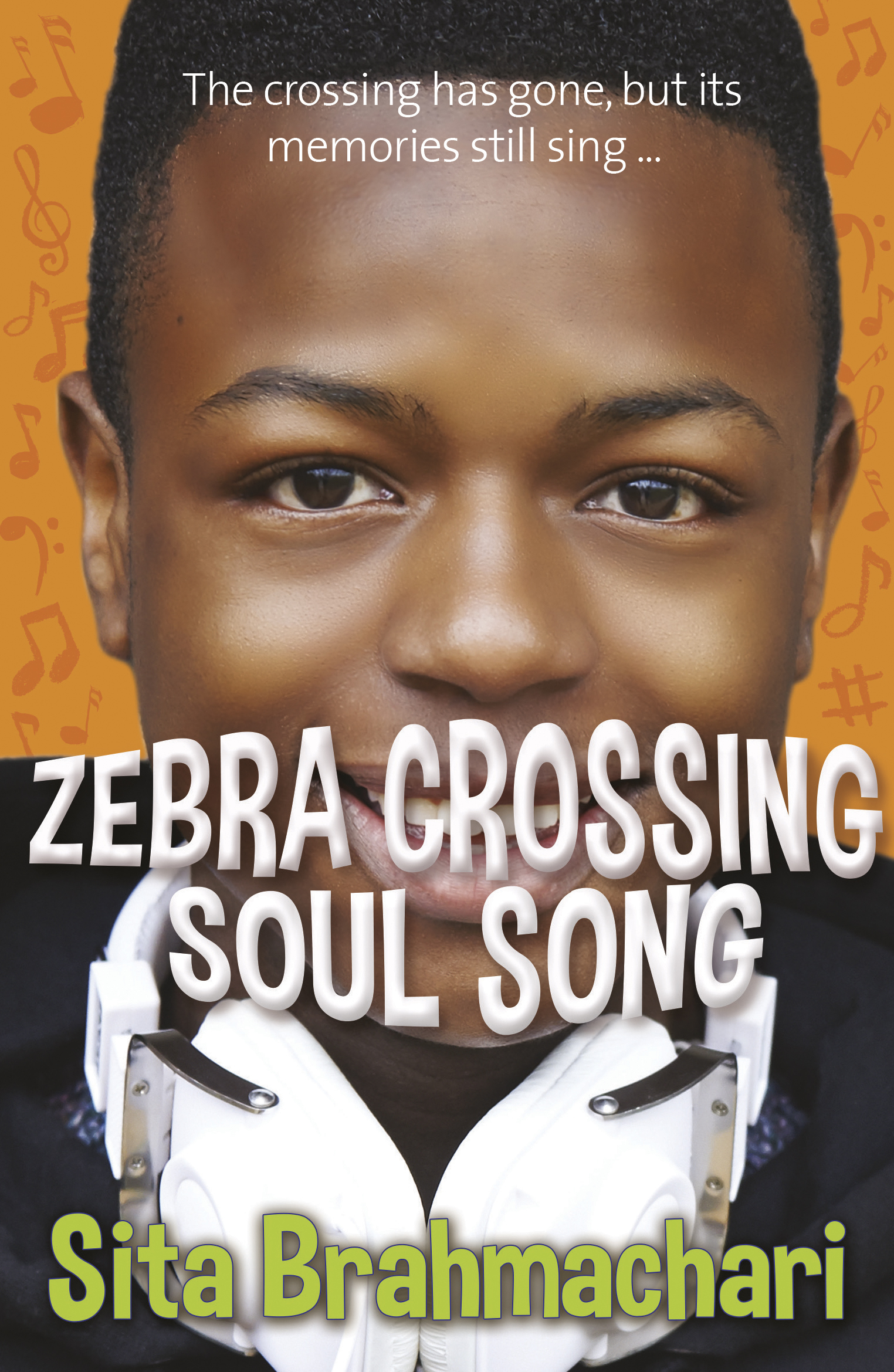 What Inspired Zebra Crossing Soul Song?