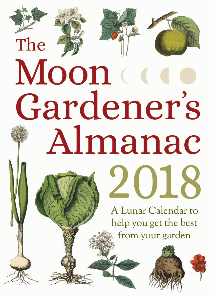 What Is ‘Moon Gardening’ Anyway?