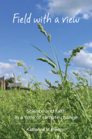 Field with a view - cover image