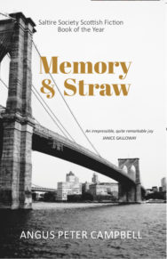 Cover of Memory and Straw paperback