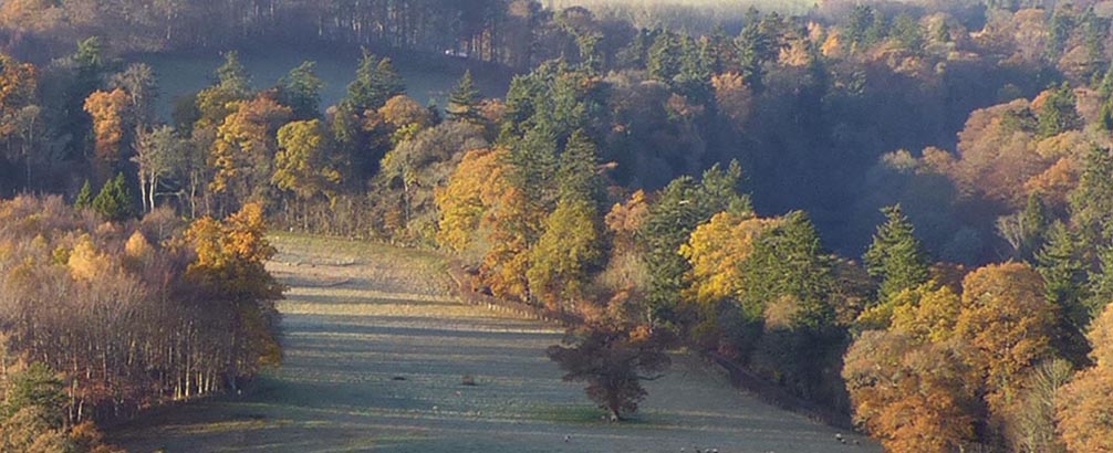 St Cuthbert’s Way